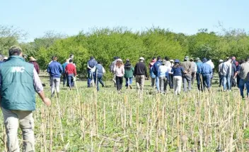 Jornada espinillo