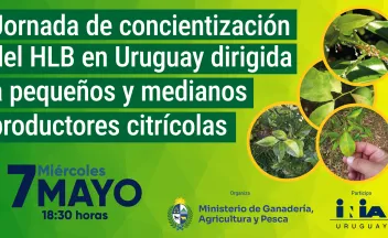 HLB en Uruguay
