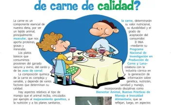 Escolar_Nov 2008