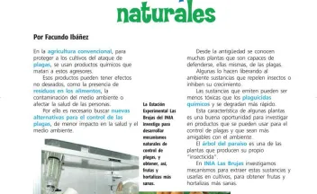 Escolar_Oct 2008