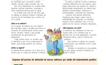 Escolar_Set 2007