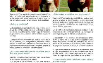 revinia-2006-08-p13