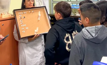 niños mirando colección de insectos en laboratorio de entomología forestal