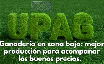 Ganadería en zona baja: mejor producción para acompañar los buenos precios.