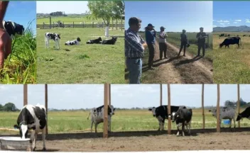 Taller lechero sustentable