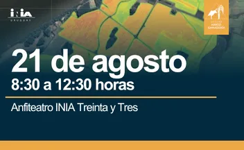 Jornada de Arroz - agosto