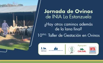 Ovinos2025