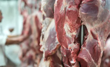 carne en frigorifico