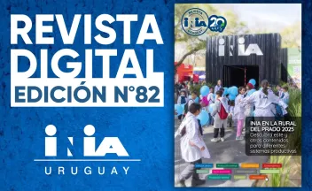 Banner Revista 82