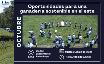 Oportunidades  para una  ganadería  sostenible  en el este