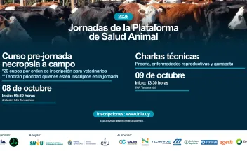 garrapata
