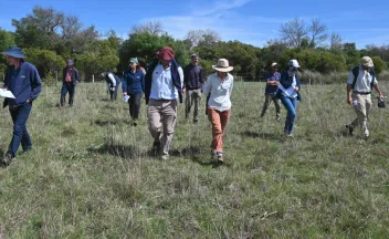 personas caminando campo natural