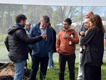 Visita alemanes