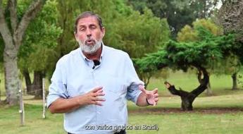 Preview image for the video &quot;Paulo Carvalho - Seminario Interno Pasturas 2025&quot;.